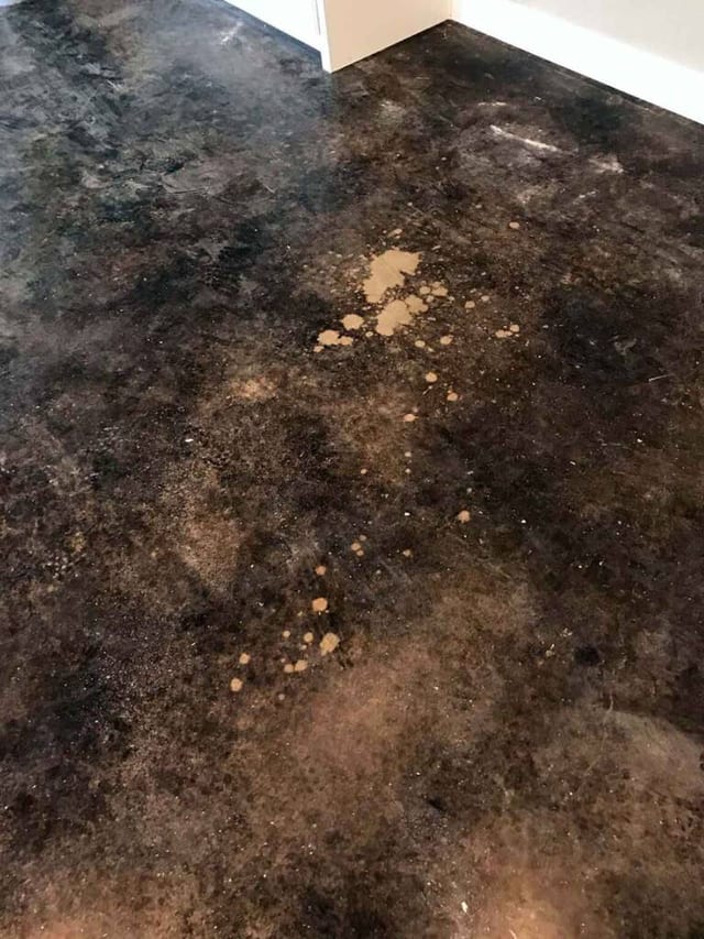 Failed stained concrete floor example 3