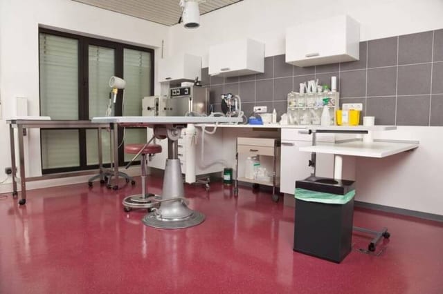 Stained Concrete Veterinary Hospital Flooring