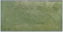Green Lawn Stain