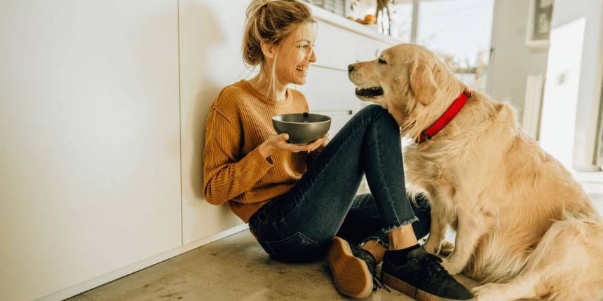 PET-FRIENDLY