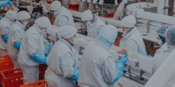 Commercial Food Processing