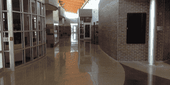School