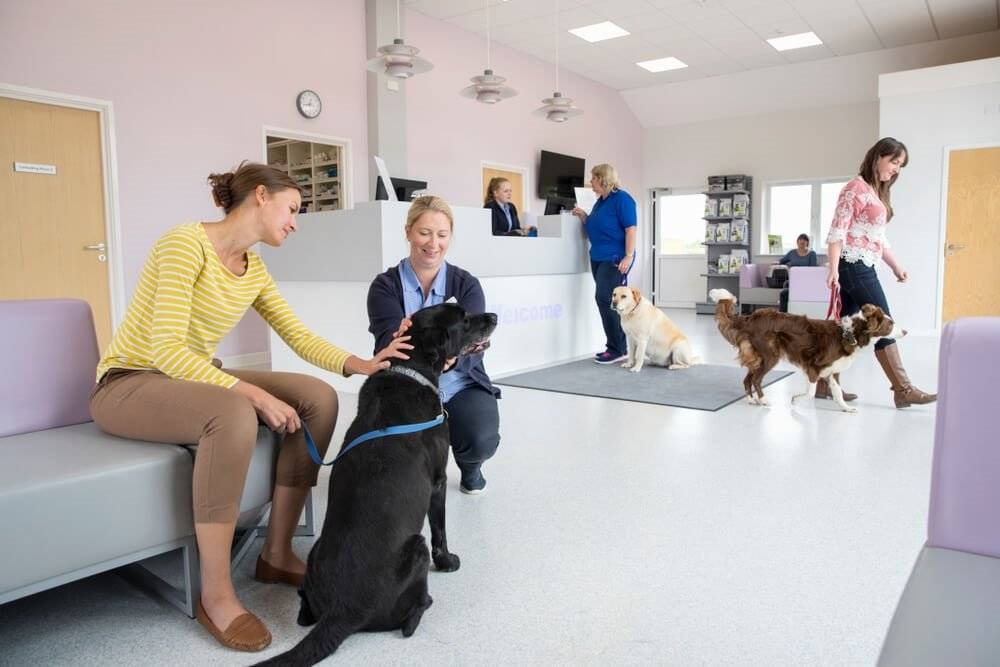 Polished concrete veterinary clinic