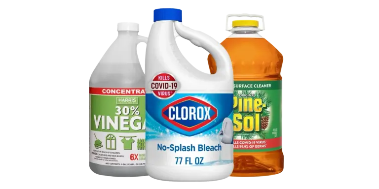 Vinegar, bleach, and Pine-Sol bottles
